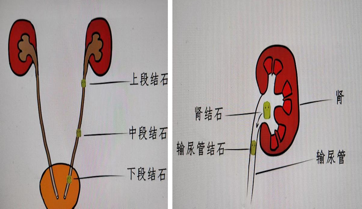 图片15.jpg